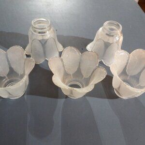 5 Glass Tulip shaped lamp shades